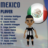 Football - Soccer FIFA