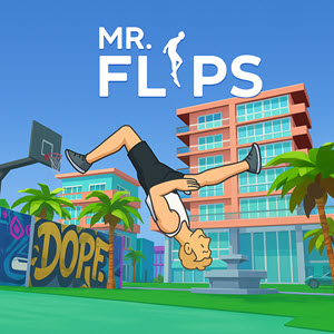 Mr Flip img