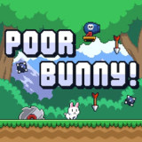 Poor Bunny
