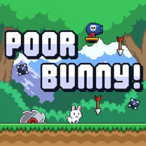 Poor Bunny Poor Bunny