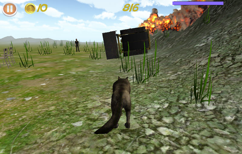 crazy animal city screenshot